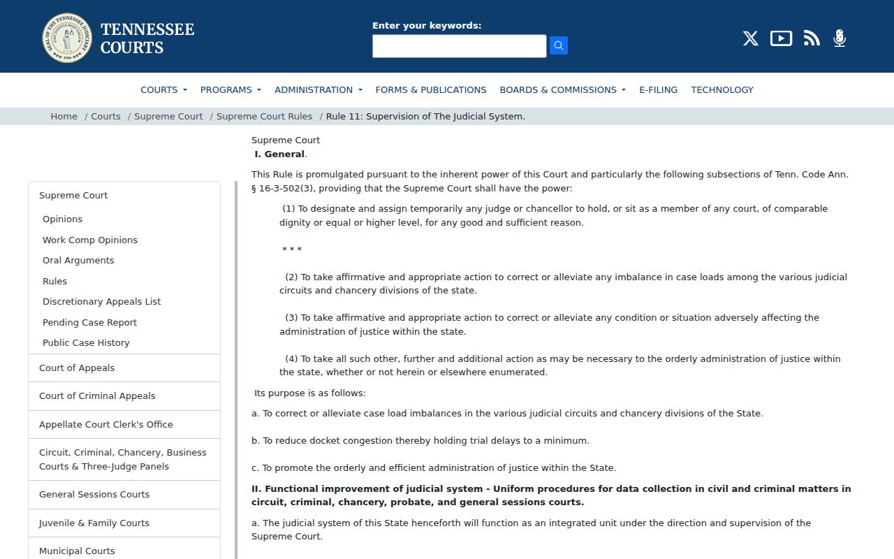 Tennessee Supreme Court Rule 11 judicial reporting and docket-number source